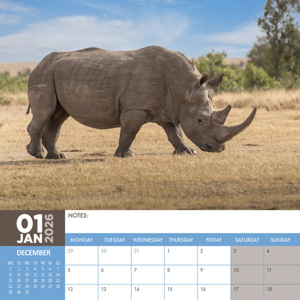 CalendarsRUs Neushoorn A3 Kalender 2026