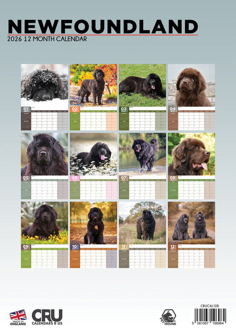 CalendarsRUs Newfoundlander A3 Kalender 2026
