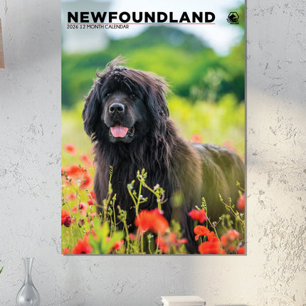 CalendarsRUs Newfoundlander A3 Kalender 2026