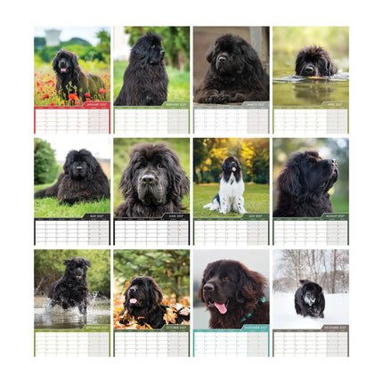 CalendarsRUs Newfoundlander A3 Kalender 2027