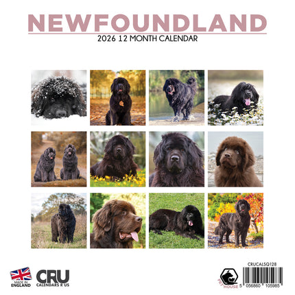 CalendarsRUs Newfoundlander Kalender 2026