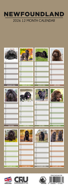 CalendarsRUs Newfoundlander Slimline Kalender 2026