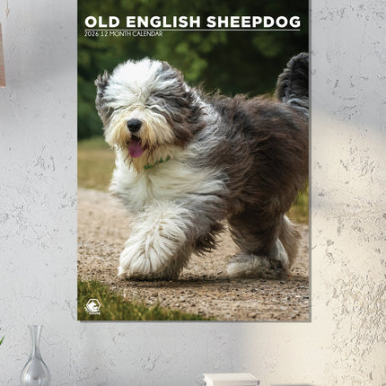 CalendarsRUs Old English Sheepdog A3 Kalender 2026