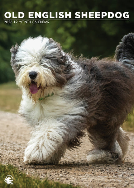 CalendarsRUs Old English Sheepdog A3 Kalender 2026