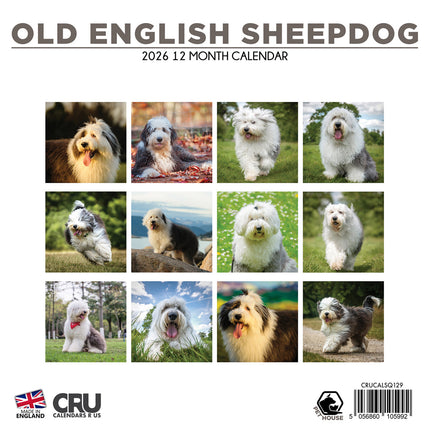 CalendarsRUs Old English Sheepdog Kalender 2026