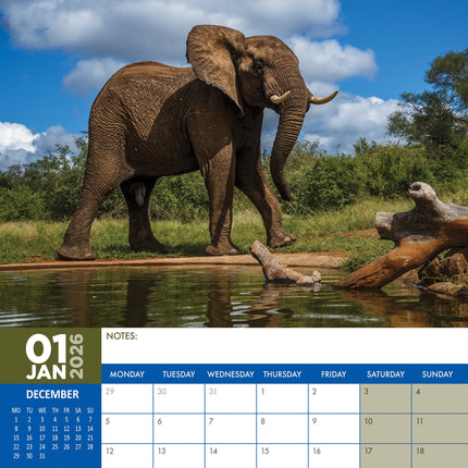 CalendarsRUs Olifanten A3 Kalender 2026