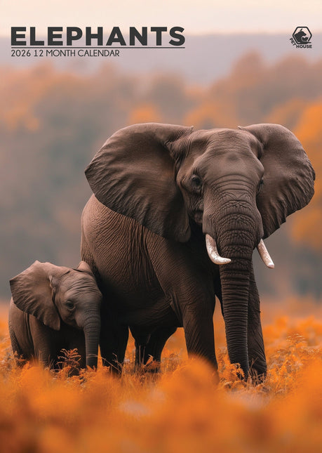 CalendarsRUs Olifanten A3 Kalender 2027