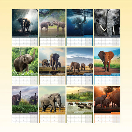 CalendarsRUs Olifanten A3 Kalender 2027