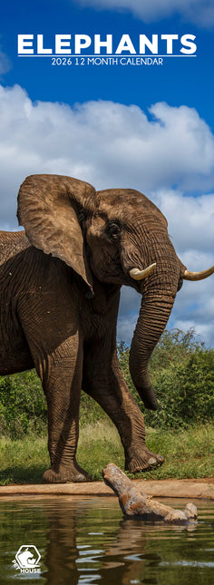 CalendarsRUs Olifanten Slimline Kalender 2026