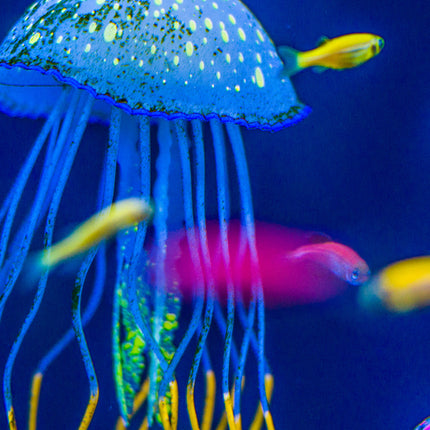 CalendarsRUs Onderwater Wereld Slimline Kalender 2027