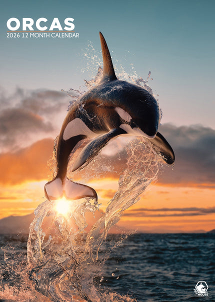 CalendarsRUs Orca A3 Kalender 2026