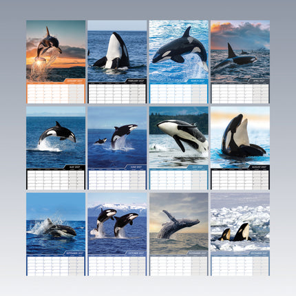 CalendarsRUs Orca A3 Kalender 2027