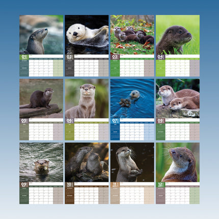 CalendarsRUs Otter A3 Kalender 2026