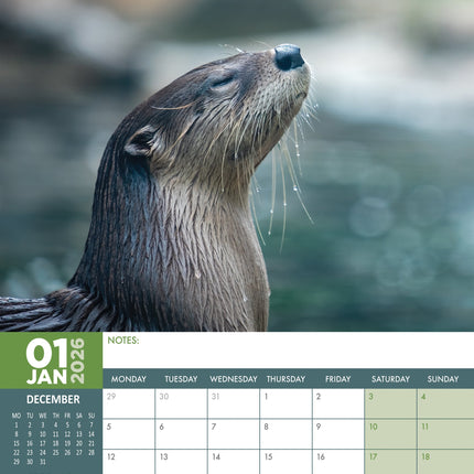 CalendarsRUs Otter A3 Kalender 2026