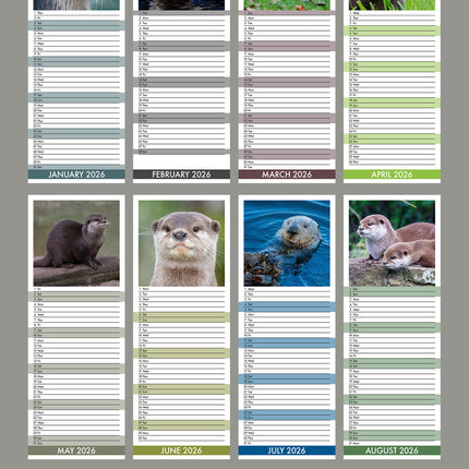 CalendarsRUs Otters Slimline Kalender 2026