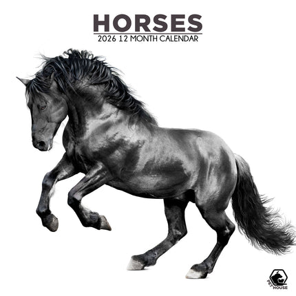 CalendarsRUs Paarden Kalender 2026