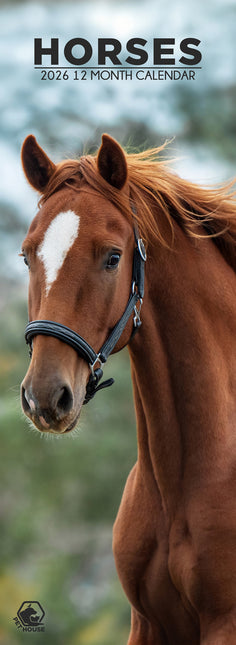 CalendarsRUs Paarden Slimline Kalender 2026