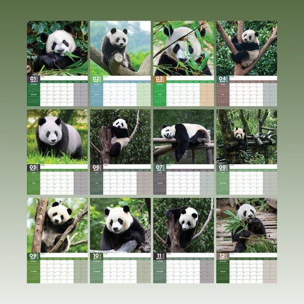 CalendarsRUs Panda A3 Kalender 2026