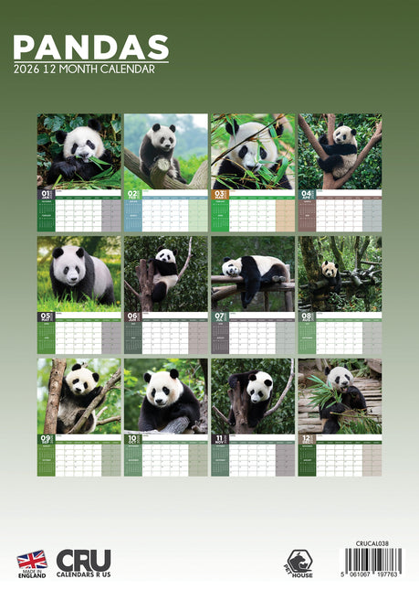 CalendarsRUs Panda A3 Kalender 2026