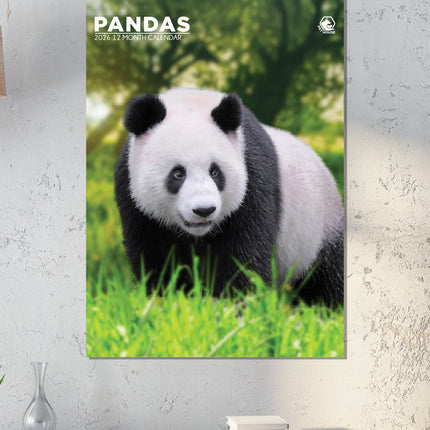 CalendarsRUs Panda A3 Kalender 2026