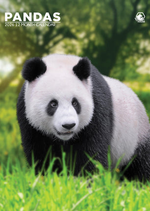 CalendarsRUs Panda A3 Kalender 2026