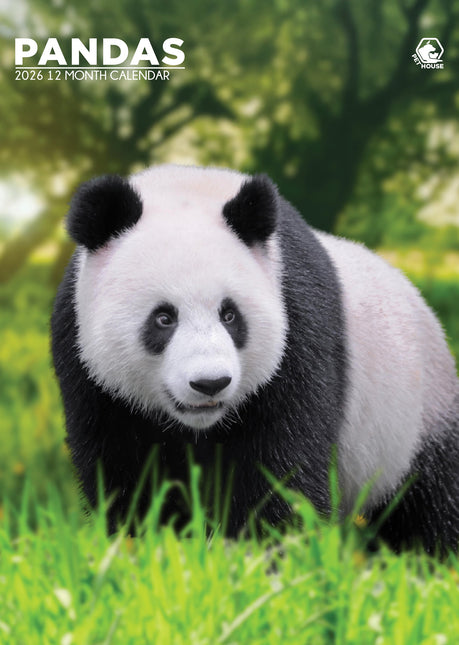CalendarsRUs Panda A3 Kalender 2026