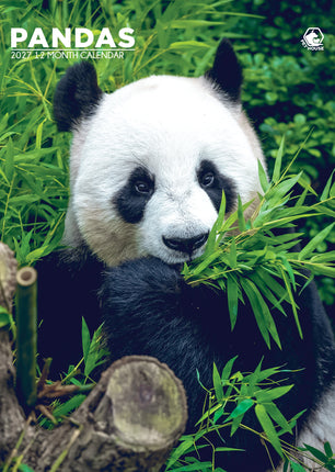 CalendarsRUs Panda A3 Kalender 2027
