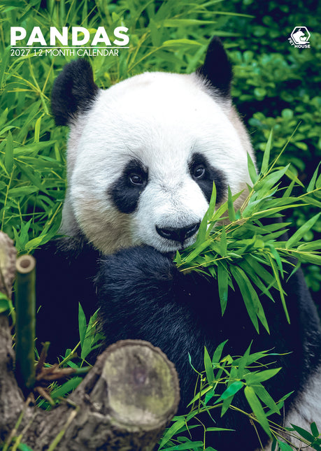 CalendarsRUs Panda A3 Kalender 2027