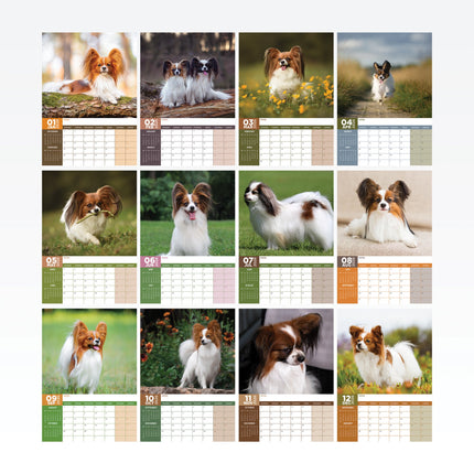 CalendarsRUs Papillon A3 Kalender 2026