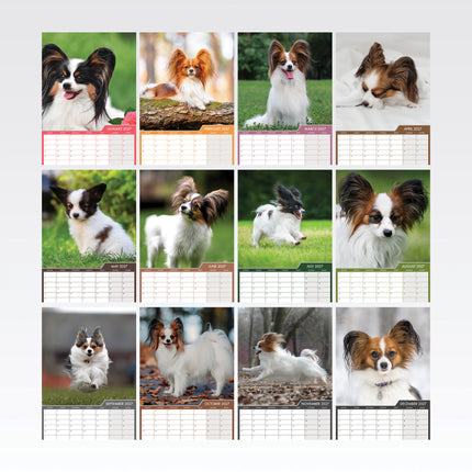 CalendarsRUs Papillon A3 Kalender 2027