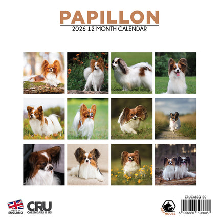 CalendarsRUs Papillon Kalender 2026