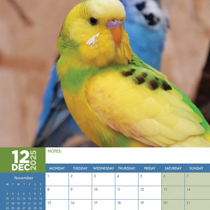CalendarsRUs Parkieten A3 Kalender 2025