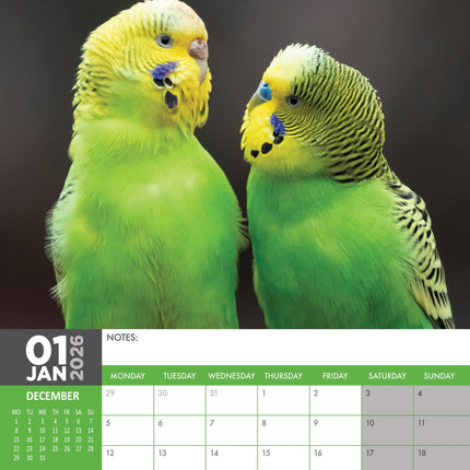 CalendarsRUs Parkieten A3 Kalender 2026