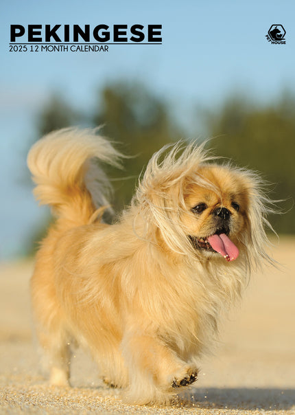 CalendarsRUs Pekingees A3 Kalender 2025