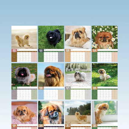 CalendarsRUs Pekingees A3 Kalender 2025