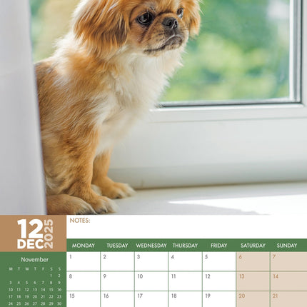 CalendarsRUs Pekingees A3 Kalender 2025