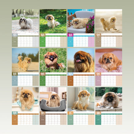 CalendarsRUs Pekingees A3 Kalender 2026
