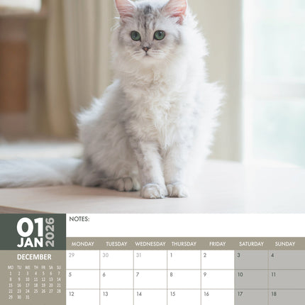 CalendarsRUs Pers A3 kalender 2026