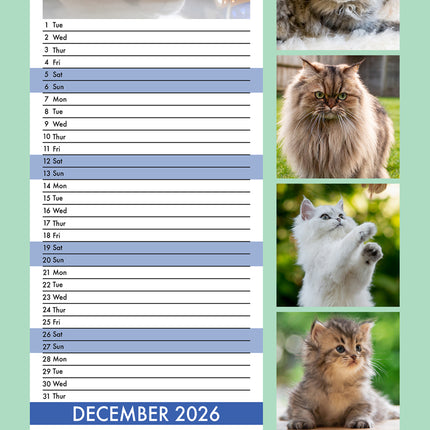 CalendarsRUs Perzische Katten Slimline Kalender 2026