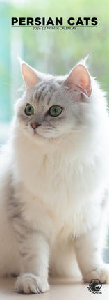 CalendarsRUs Perzische Katten Slimline Kalender 2026