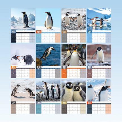 CalendarsRUs Pinguin A3 Kalender 2026