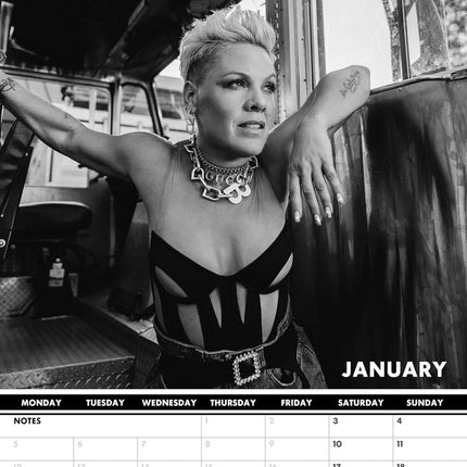 CalendarsRUs Pink A3 Kalender 2026