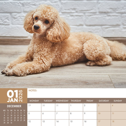 CalendarsRUs Poedel A3 Kalender 2026
