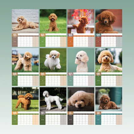 CalendarsRUs Poedel A3 Kalender 2026