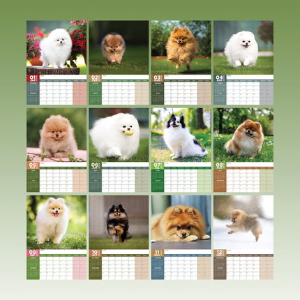 CalendarsRUs Pomeranian A3 Kalender 2026