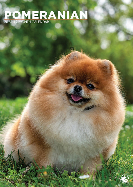 CalendarsRUs Pomeranian A3 Kalender 2026