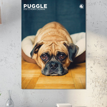 CalendarsRUs Puggle A3 Kalender 2026