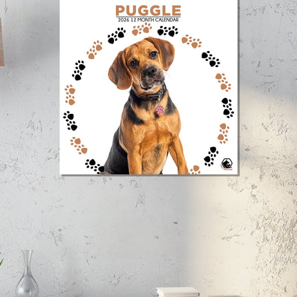 CalendarsRUs Puggle Kalender 2026