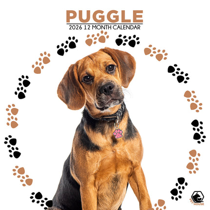 CalendarsRUs Puggle Kalender 2026