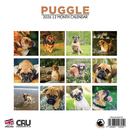 CalendarsRUs Puggle Kalender 2026